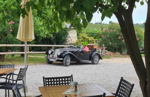 Agriturismo Le Caldane - Photo 10