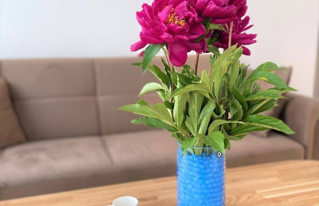 Picturesque Old Town Apartment With Balcony - Photo 5