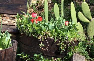 Cottage Vivenda Festina Lente - Foto 54