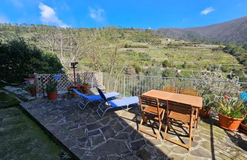 Il Bassotto - Homy 5 Terre - Foto 17