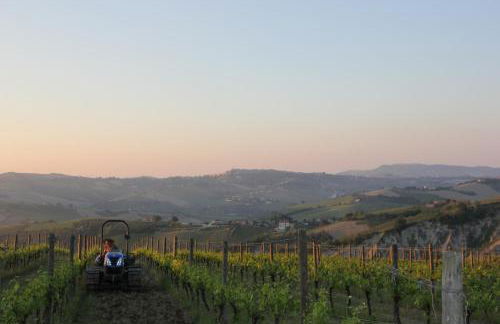 Agriturismo San Michele - Foto 81