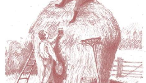 Southeast Portland Comfy & Eclectic Craftsman Home - Foto 5