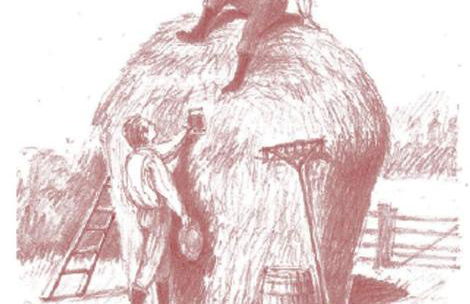 Southeast Portland Comfy & Eclectic Craftsman Home - Foto 5