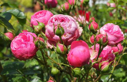 Haus Schlernblick - Photo 17