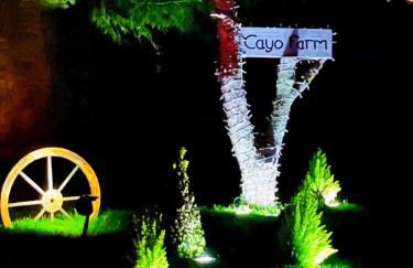 CAYORETREAT STATIC CARAVAN - Photo 23