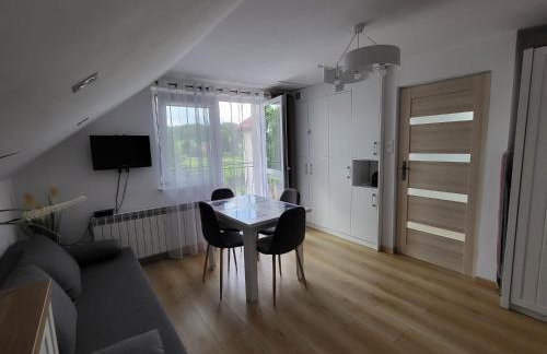 Domek pod Hyrką Bieszczady-Lesko - Foto 3