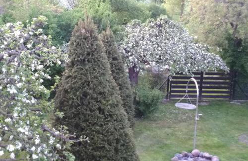 Duży komfortowy apartament - Foto 24