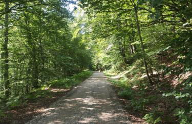 Apartamentos Goizeder - Foto 20