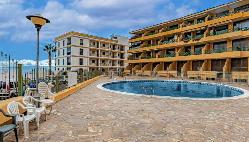 SUNFLOWER SEA AND TEIDE VIEW - Foto 2