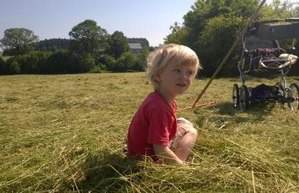 Allgäu Ferienhof Schönberger - Photo 30