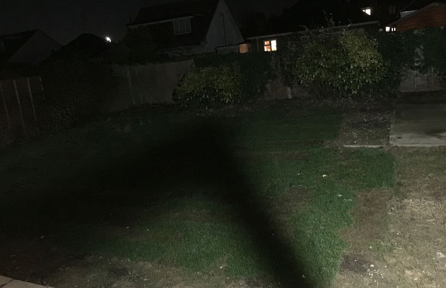 Bourne Court - Photo 13