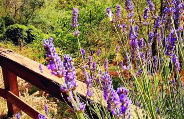 Azienda Agricola Biologica La Cardellina - Foto 56