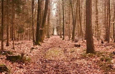 Schöne Auszeit RE14 - Photo 19