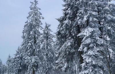 Top Ferienwohnung am Diemelsee, Sauerland Nähe Willingen Winterberg - Foto 22