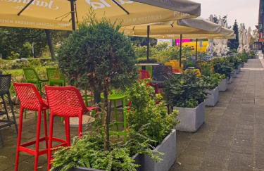 Mickey Mouse Supilova 24 - Foto 34