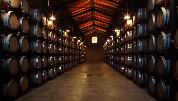 Visite des Bodegas Bilbaínas - Photo 4