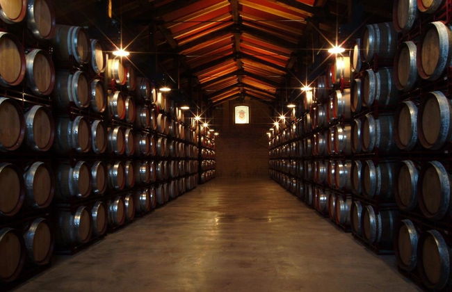 Visite des Bodegas Bilbaínas - Photo 4