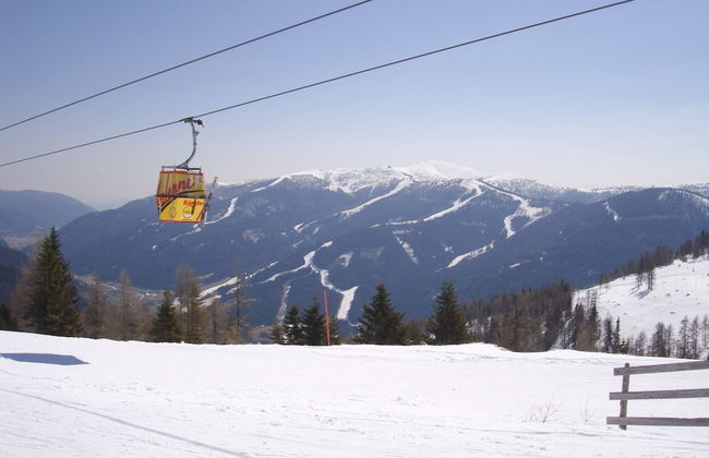 Cozy Apartment in Feld am See Near Ski Slopes - Foto 74