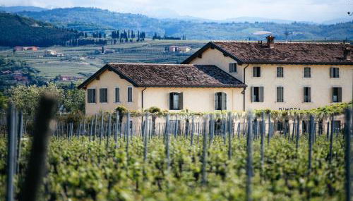 Dimora Buglioni Wine Relais - Foto 3