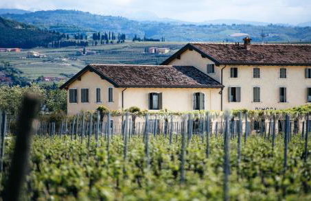 Dimora Buglioni Wine Relais - Foto 3