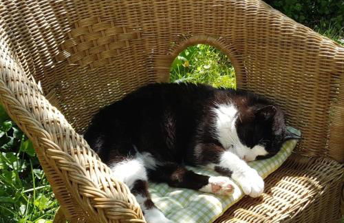 Ferienwohnung 1880 - Foto 23