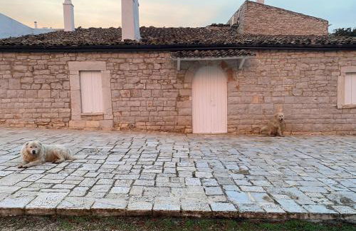 Masseria Torre Di Nebbia - Foto 57