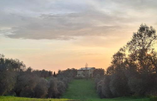 Il Casale di Dorothea - Foto 8