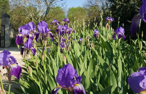 Domaine de la Brette - Photo 38