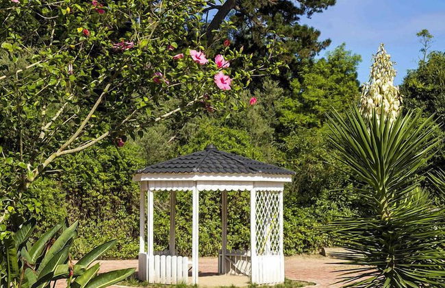 Victoria Heights B and B - Foto 34