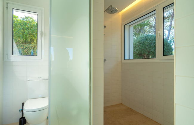 Orquidea 34 - Photo 29