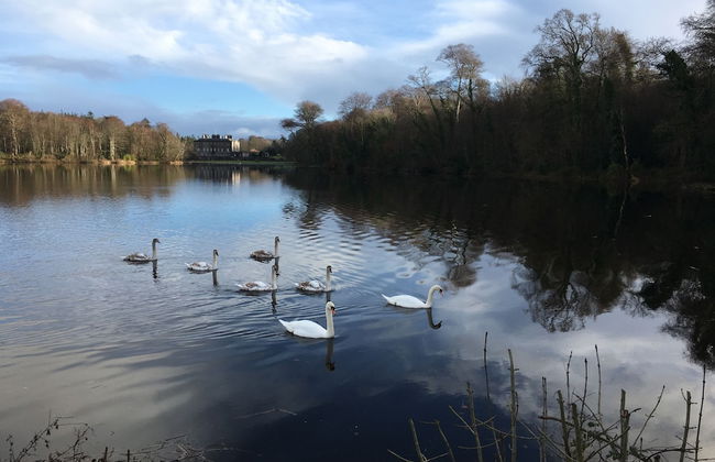 Hazelbrook Self Catering - Maximum 6 Persons - Photo 40