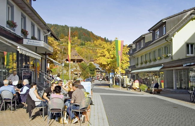 Ferienwohnung mit Talblick in Todtmoos - Photo 26