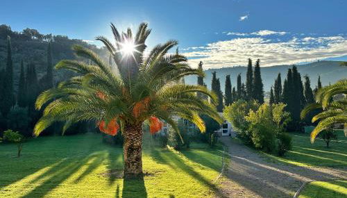 Casita Cacahuete - Foto 3