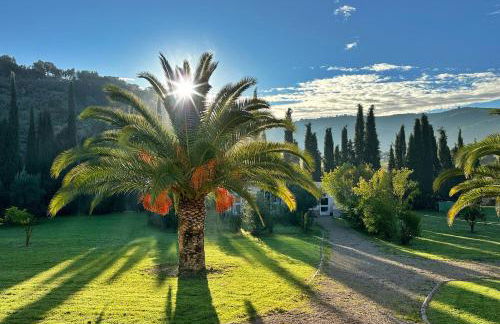 Casita Higo - Foto 2