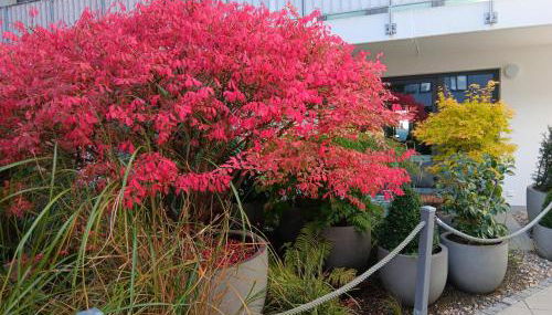 Stadtmitte - Foto 5, Garden view