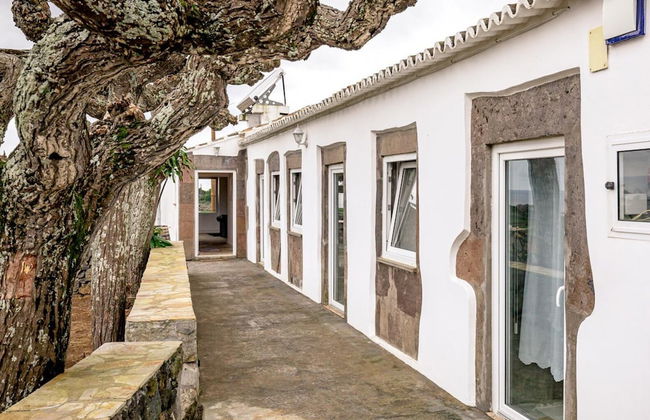 Casa dos Cal os in S o Mateus da Calheta - Photo 14