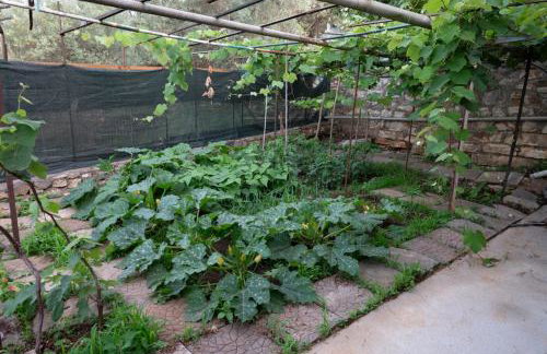 Country House Hortensia - Foto 43