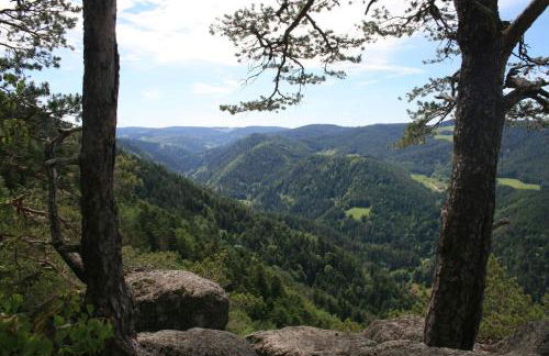 Haus am Waldrand - Foto 18