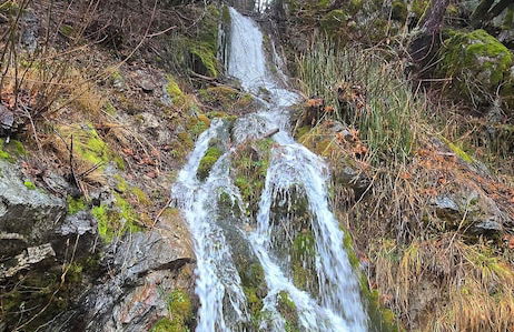 La Veranda - Photo 25