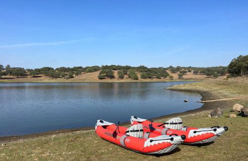 Herdade Terra rica - Photo 49