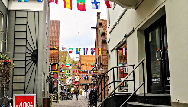 Lo mejor de la ciudad de Odense - Tour privado a pie - Foto 2