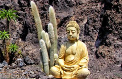 FINCA BEROLO 1 - Foto 43