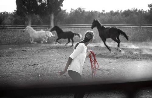 Masseria Prosperi - Photo 52