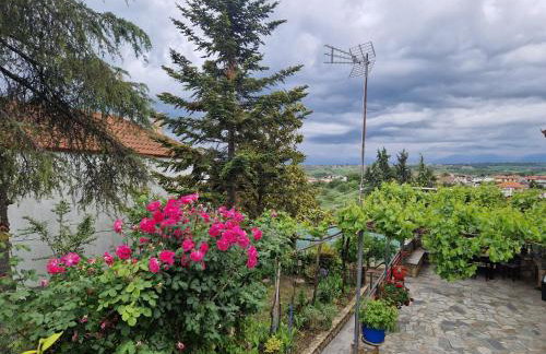 Sunflower Apartment - Foto 10