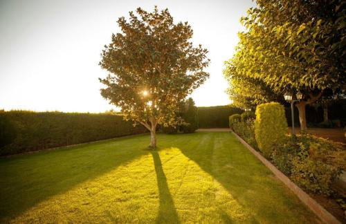 La Cabana - Photo 35