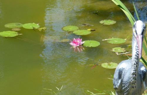 Hiemer 2 Comfortable holiday residence - Foto 17