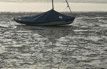 Wohlfühlurlaub auf dem Reit- und Ferienhof Goldberg - Foto 45