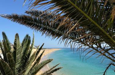 Apartamento Tortuguero - Photo 17