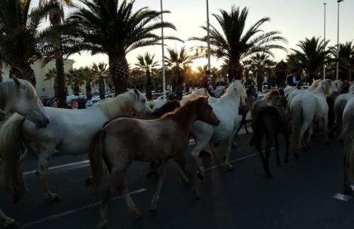Janislove34 Maison 1 Chambre avec accès piscine dans résidence à Palavas les flots - Foto 30