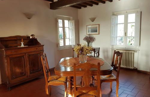 Antico Uliveto - Foto 13